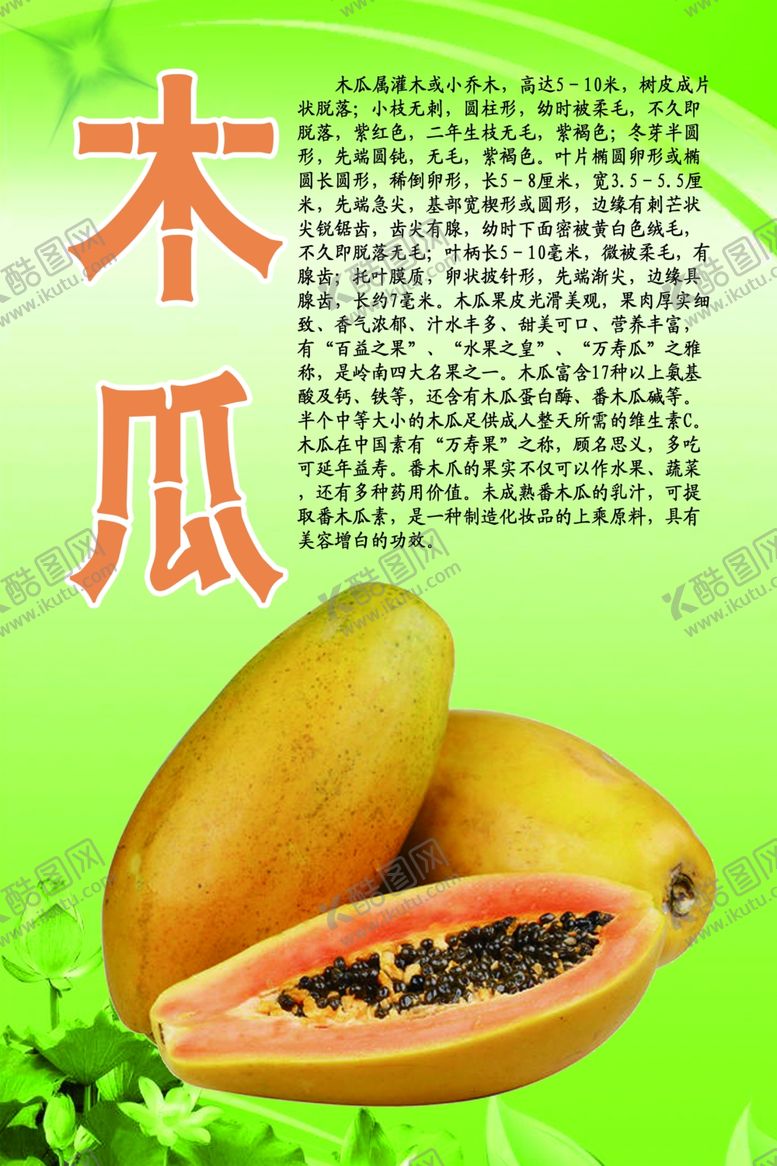 编号：32808010201554477083【酷图网】源文件下载-水果文化系列之木瓜