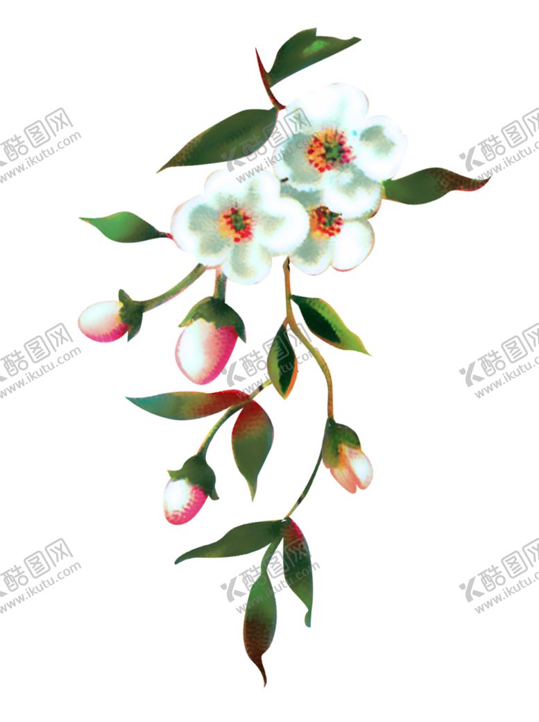 编号：87724105030728094277【酷图网】源文件下载-欧式复古花朵装饰