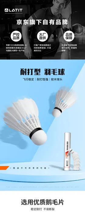 羽毛球详情页