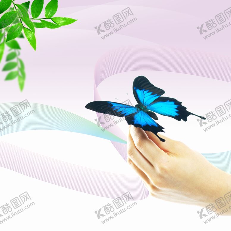 编号：74590009150954118784【酷图网】源文件下载-背景素材