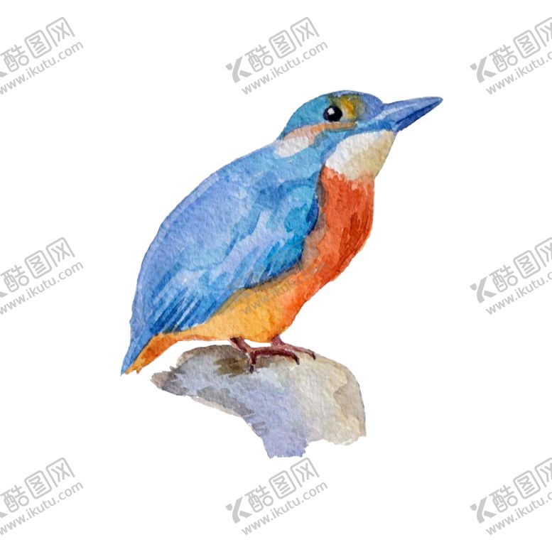 编号：14267810101932003450【酷图网】源文件下载-卡通鸟