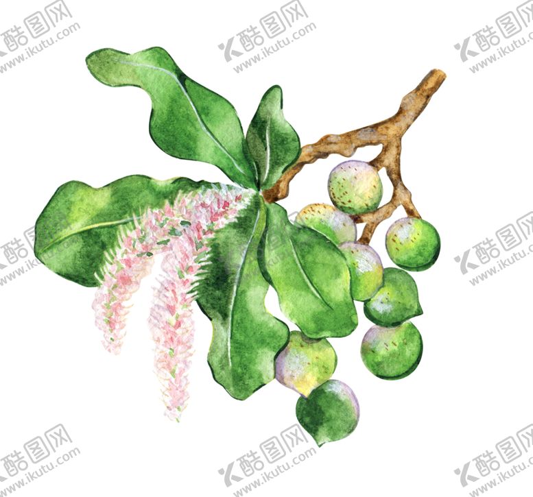 编号：90351310100815534850【酷图网】源文件下载-绿色相框