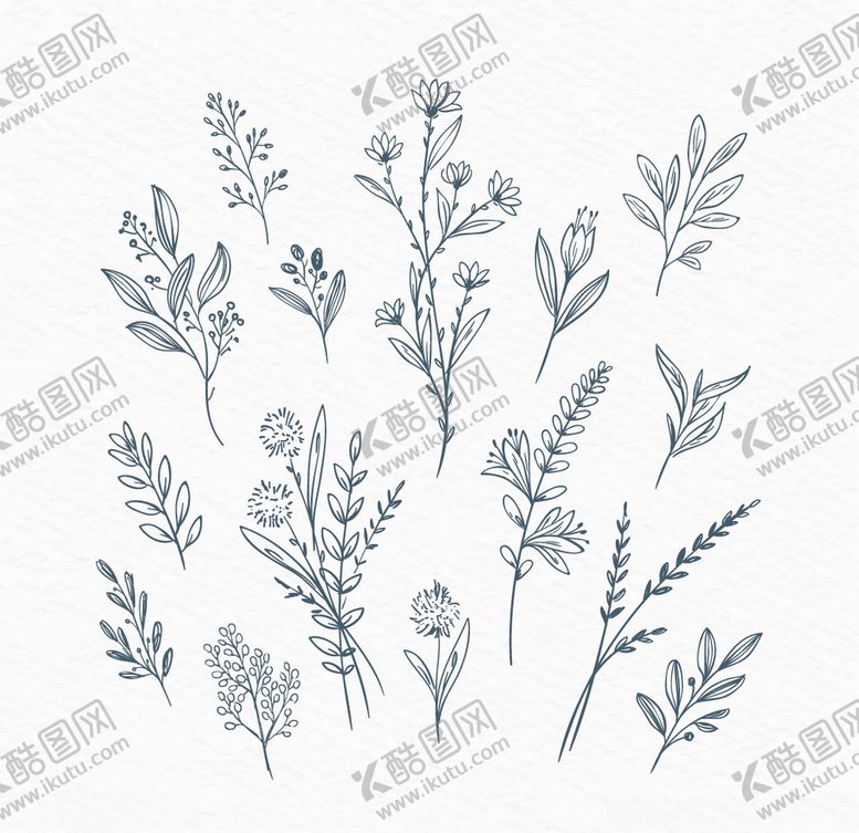 编号：17253507030311551930【酷图网】源文件下载-花草中草药素材