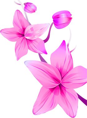 鲜花装饰勿忘我郁金香彩色