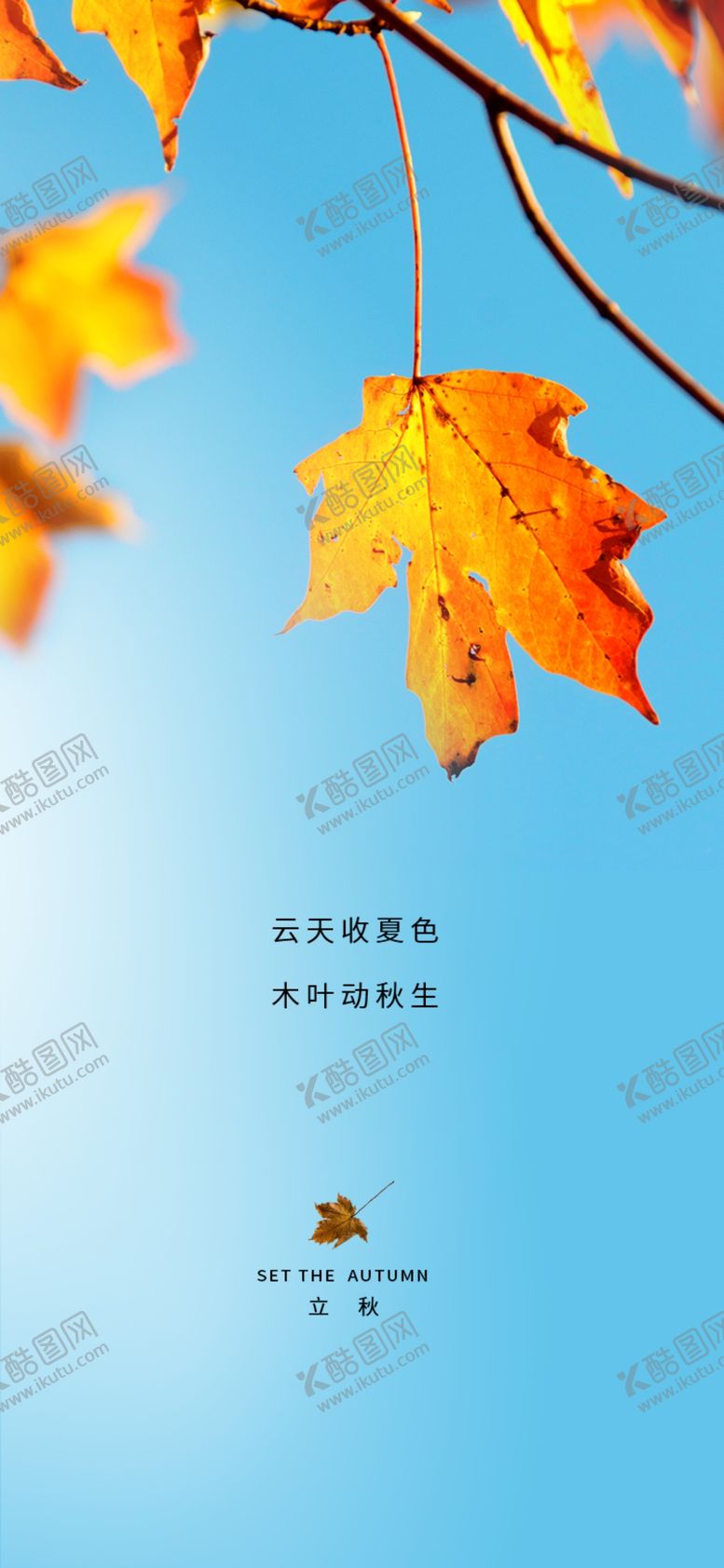 编号：22912806240203182921【酷图网】源文件下载-立秋节气海报3