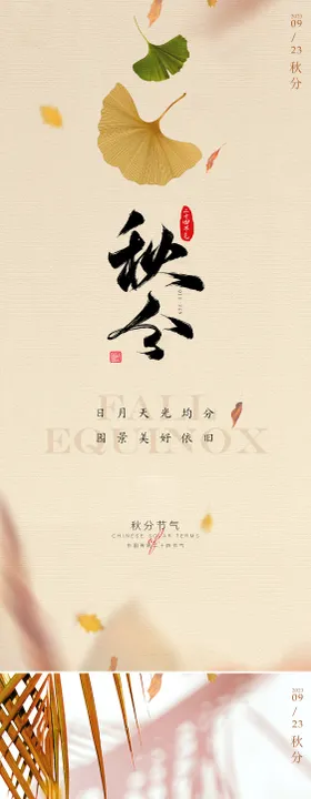 秋分节气海报叶二十四落叶系列