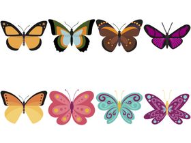 卡通蝴蝶