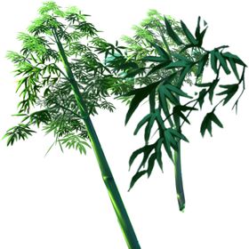 手绘素材