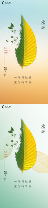 处暑节气海报