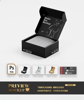 手绘猫飞机盒收纳盒开启状样机