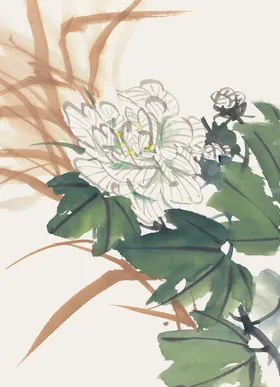 牡丹水墨画红花手绘花