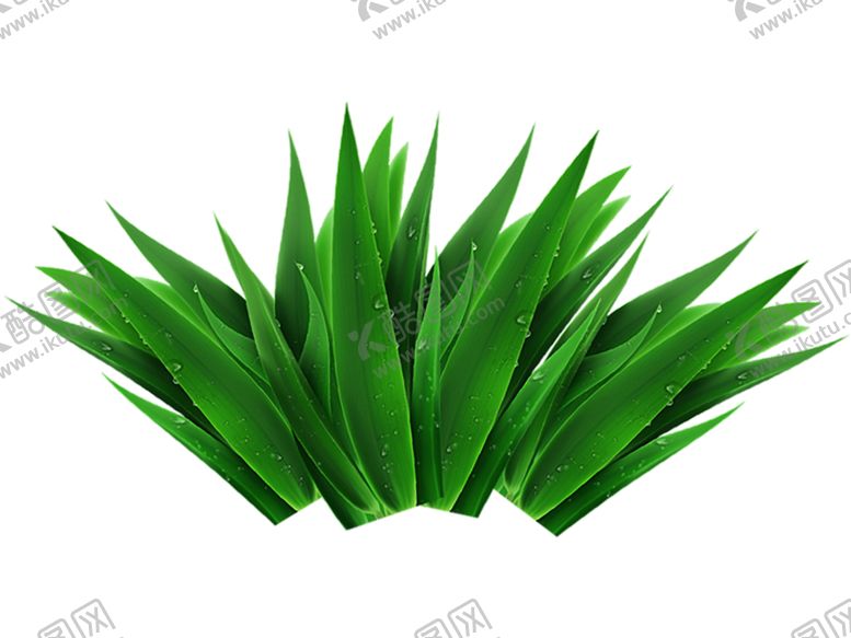 编号：74409109190253298588【酷图网】源文件下载-绿色植物