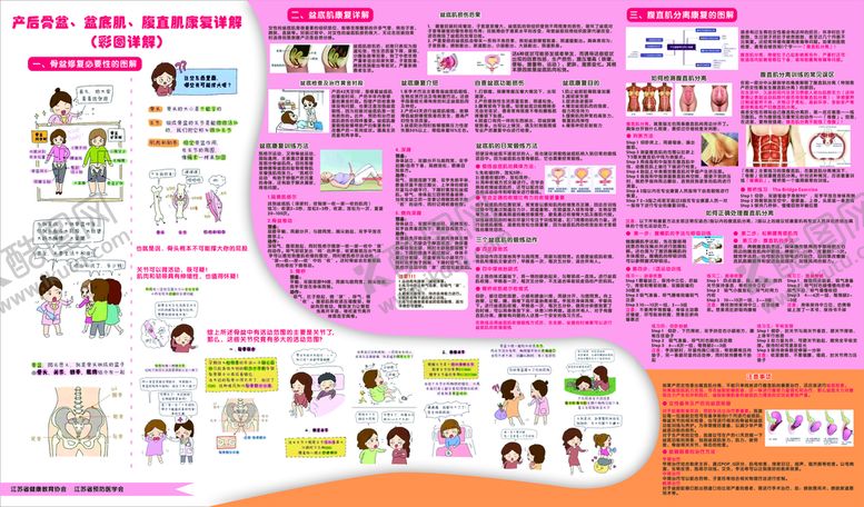 编号：45240210232342568352【酷图网】源文件下载-产后修复展板海报