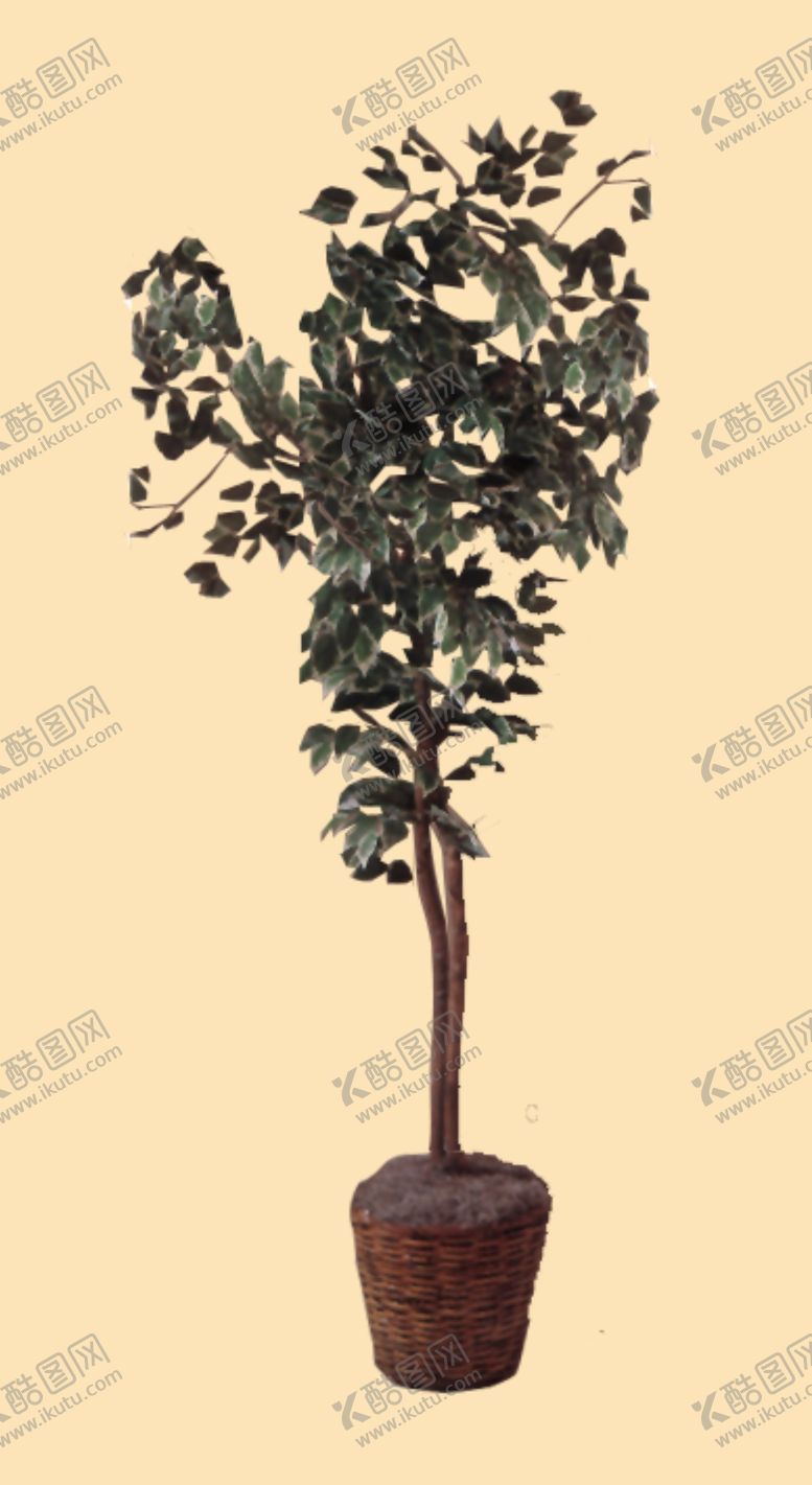 编号：73228610032306215817【酷图网】源文件下载-盆景