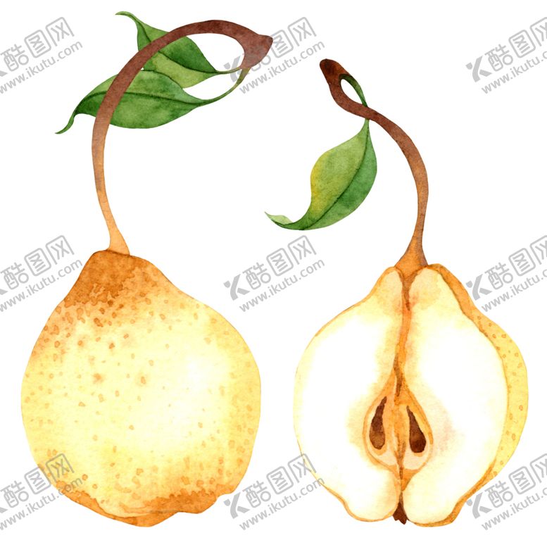 编号：77213809290440278798【酷图网】源文件下载-水彩创意插画水果