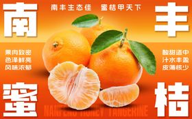 新鲜丰蜜桔诱人上市