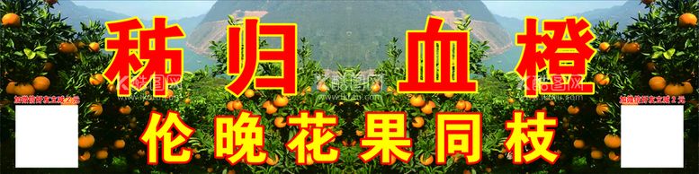 编号：09874610110321398917【酷图网】源文件下载-秭归血橙