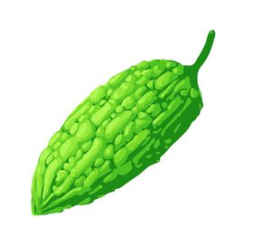 苦瓜手绘