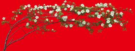 花分层