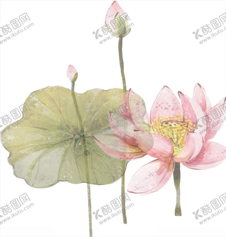 编号：29001106191147044413【酷图网】源文件下载-荷花