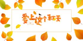 秋天图片