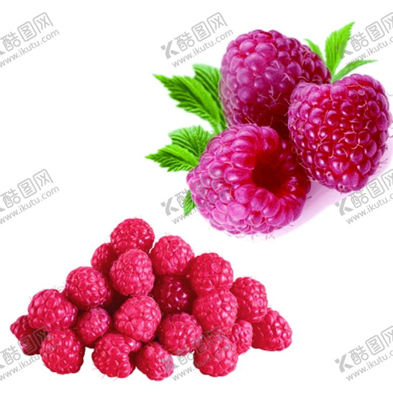 编号：44588202250942007724【酷图网】源文件下载-覆盘子