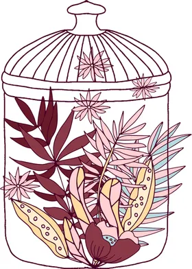 手绘植物花框png图透明图水彩