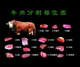 牛肉分割部位图