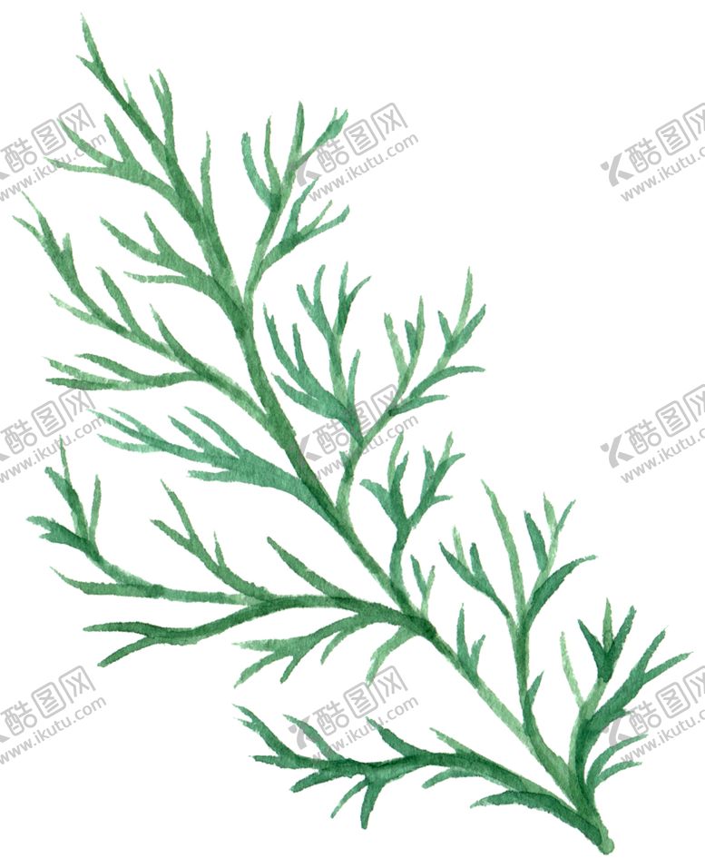 编号：15618609240752066685【酷图网】源文件下载-手绘植物