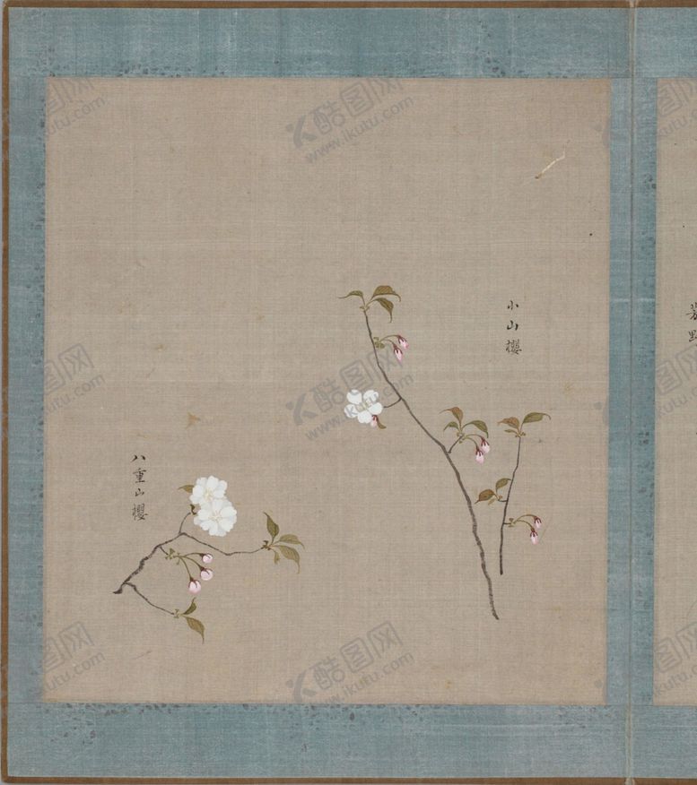 编号：44234903310705285230【酷图网】源文件下载-樱花