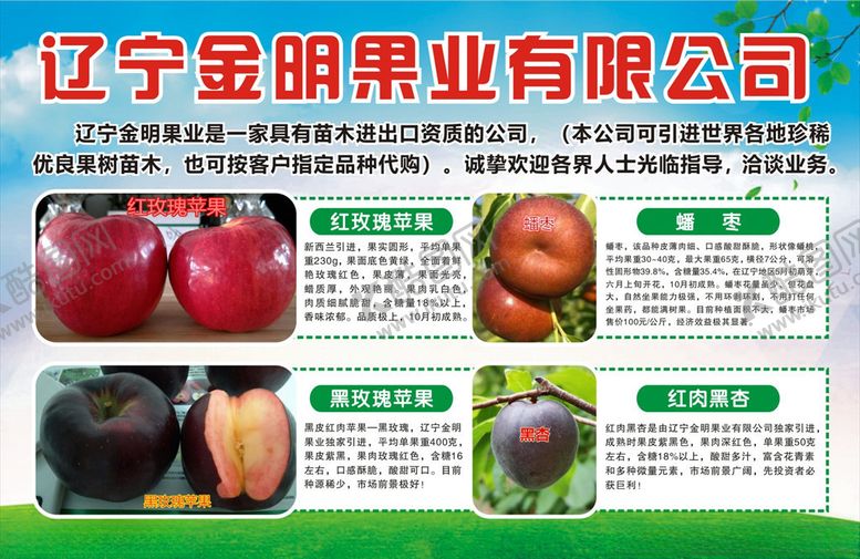 编号：13283009300017043840【酷图网】源文件下载-宣传彩页