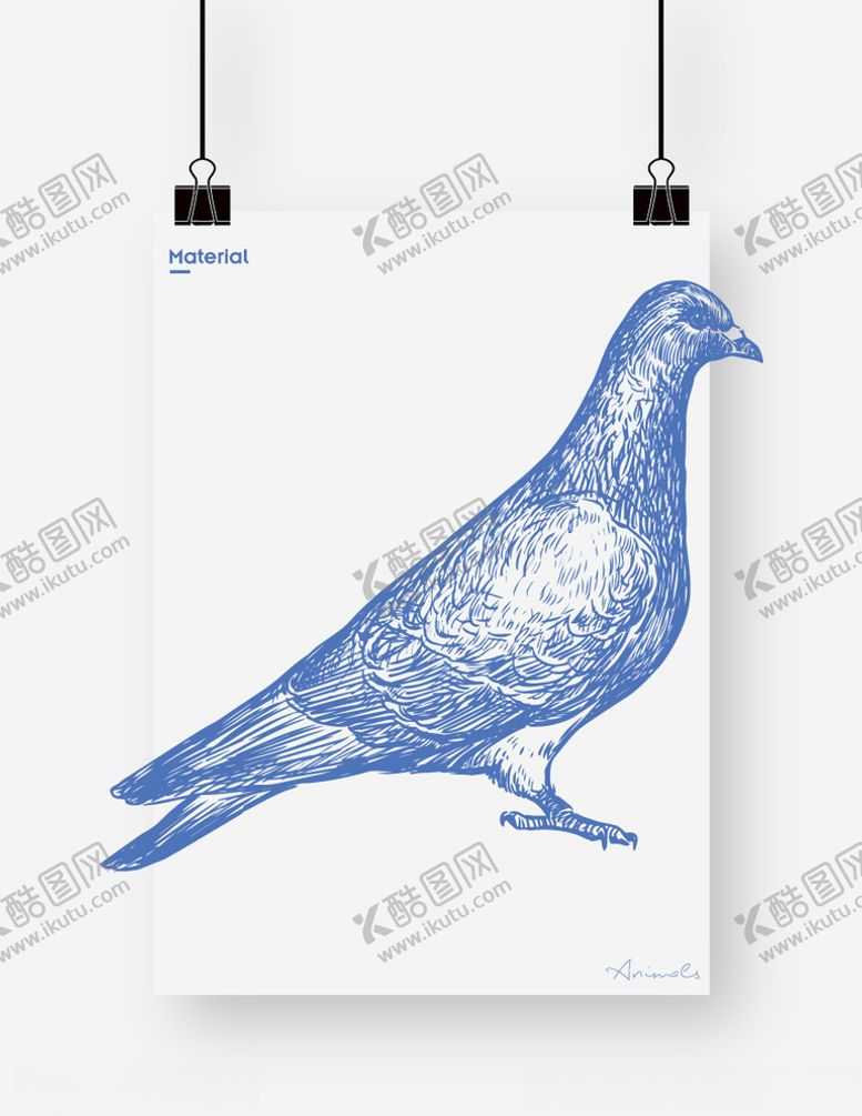 编号：46122209271822079960【酷图网】源文件下载-鸽子