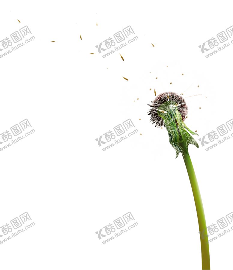 编号：69510109231730372035【酷图网】源文件下载-蒲公英
