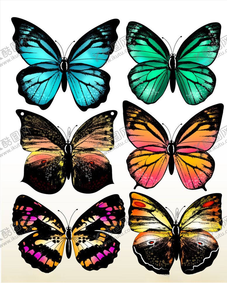 编号：80622210081530085448【酷图网】源文件下载-蝴蝶