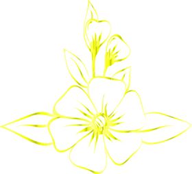 花素材边纹底纹边框勿忘我