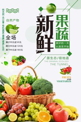 素食日新鲜果蔬海报设计