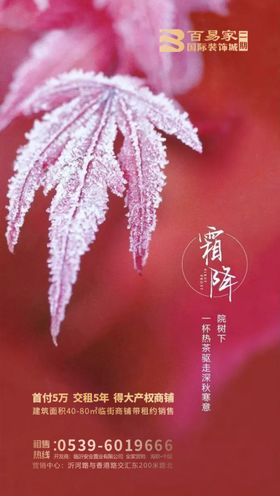 地产霜降微信海报
