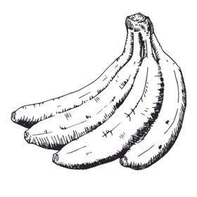 水果绘画线稿图案