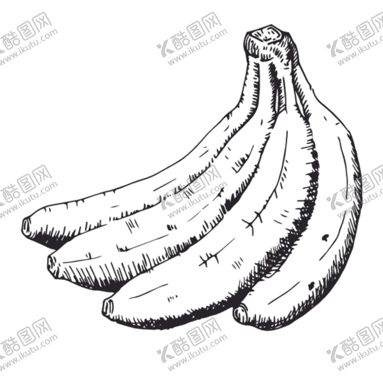 编号：37656011011507302853【酷图网】源文件下载-水果绘画线稿图案