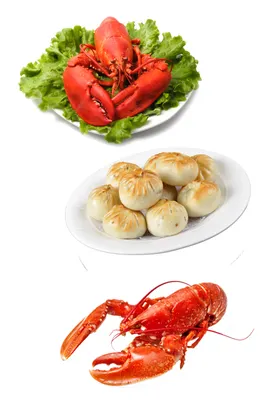 菜品烧烤