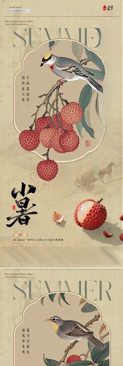 夏至小暑荷花中式插画海报