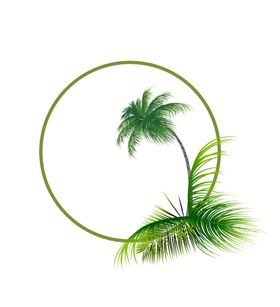 绿色植物