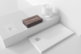 简约大气vi展示样机Par