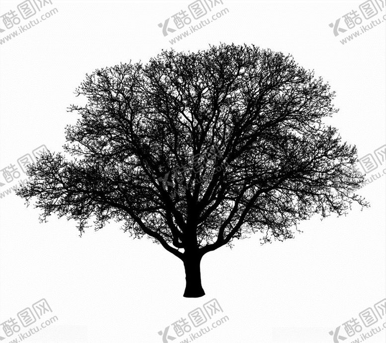 编号：11867709170107139465【酷图网】源文件下载-树木剪影