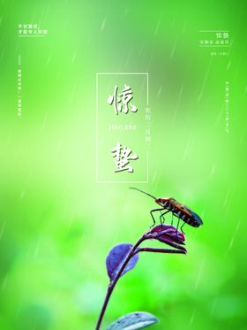 雨水宣传海报朋友圈微信贴片