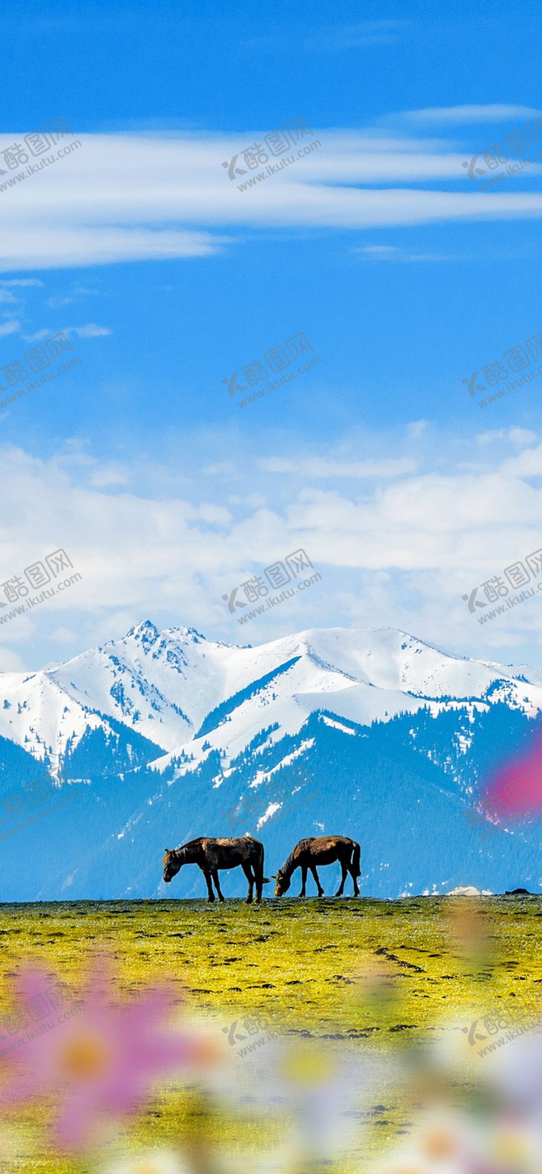 编号：48868906231557266771【酷图网】源文件下载-手机壁纸