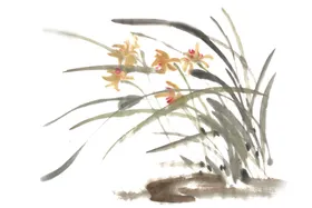 水墨兰花PNG卉免扣素材梅竹菊手绘卉