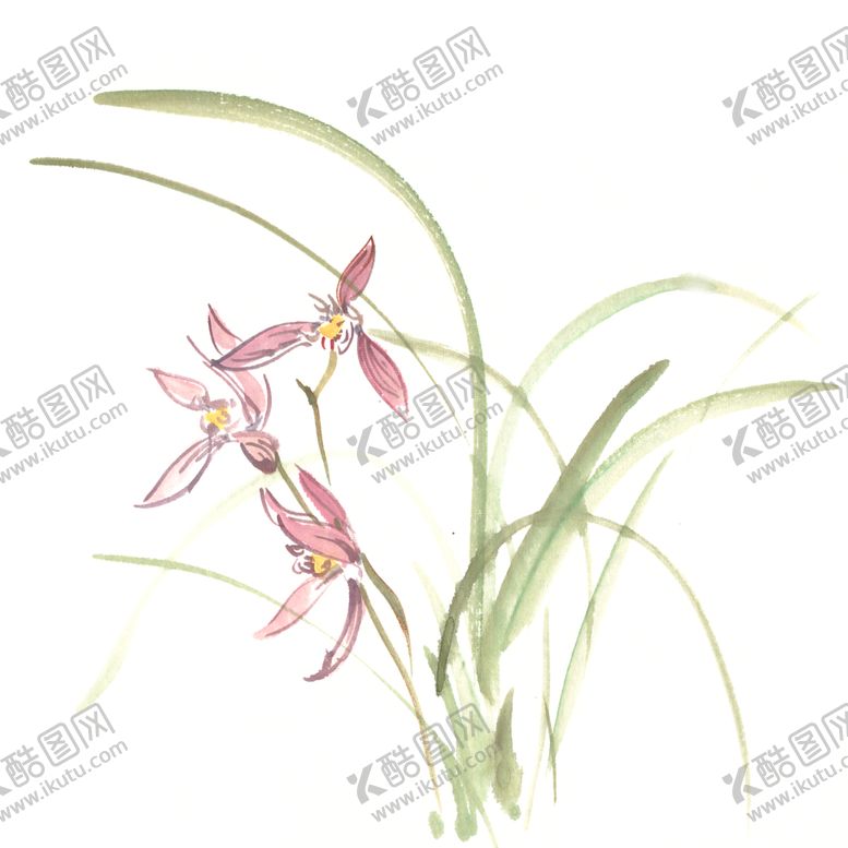 编号：98416201141647518975【酷图网】源文件下载- 水墨兰花PNG  