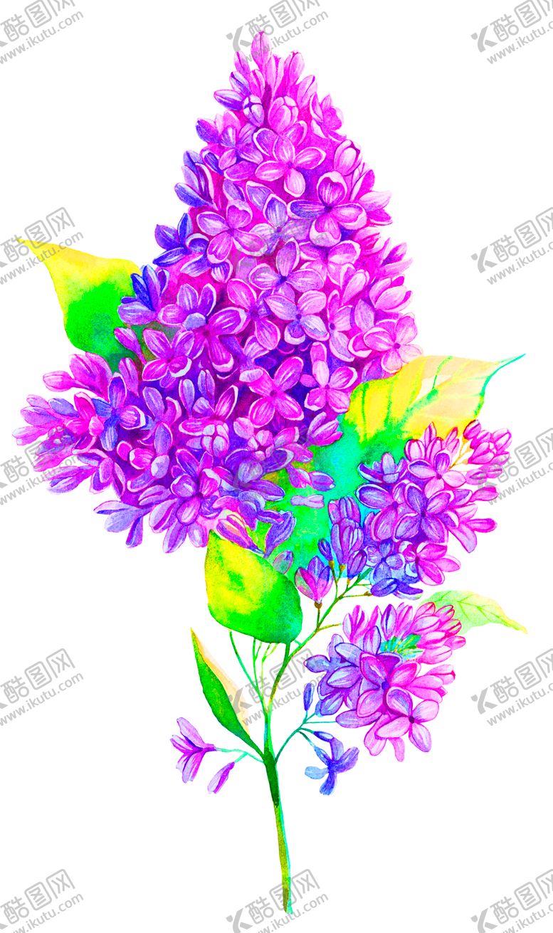 编号：22978110231205456663【酷图网】源文件下载-花素材