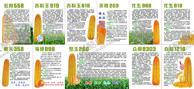 编号：57983409192209039027【酷图网】源文件下载-玉米折页